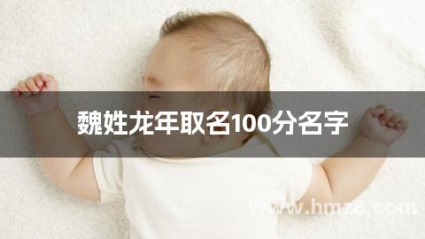 魏姓龙年取名100分名字