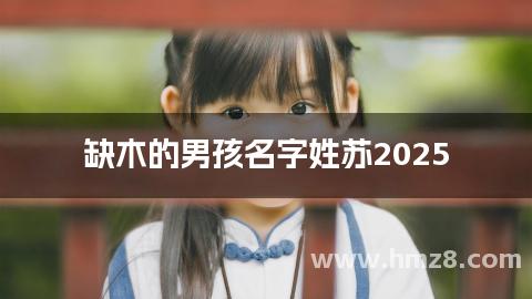 缺木的男孩名字姓苏2025