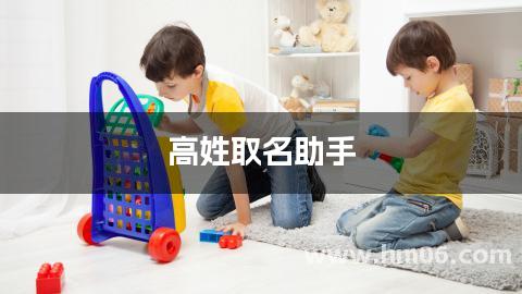 高姓取名助手