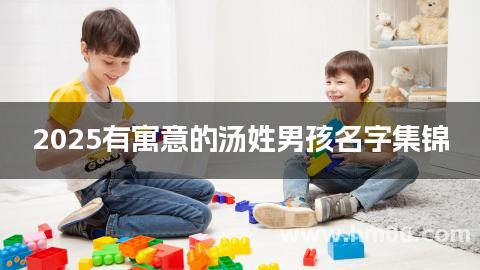 2025有寓意的汤姓男孩名字集锦