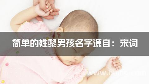 简单的姓黎男孩名字源自：宋词