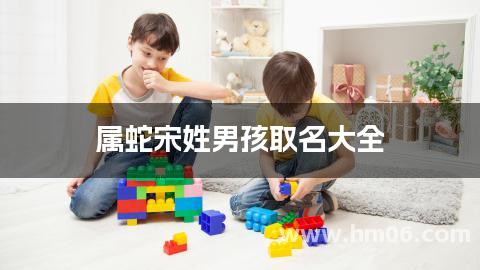 属蛇宋姓男孩取名大全