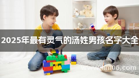 2025年最有灵气的汤姓男孩名字大全