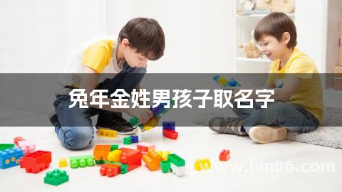 兔年金姓男孩子取名字