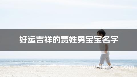 好运吉祥的贾姓男宝宝名字