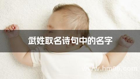 武姓取名诗句中的名字