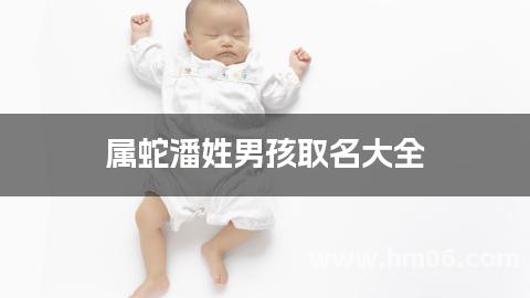 属蛇潘姓男孩取名大全