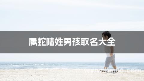 属蛇陆姓男孩取名大全