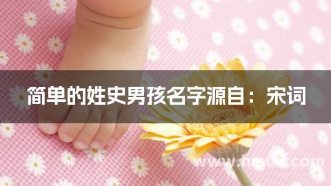 简单的姓史男孩名字源自：宋词