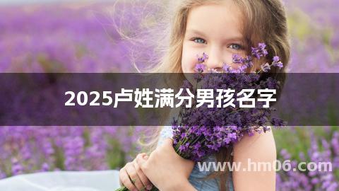 2025卢姓满分男孩名字