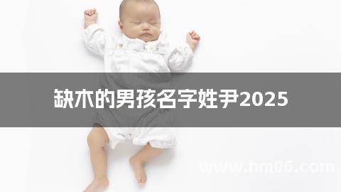 缺木的男孩名字姓尹2025