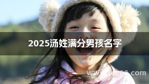 2025汤姓满分男孩名字