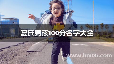 夏氏男孩100分名字大全