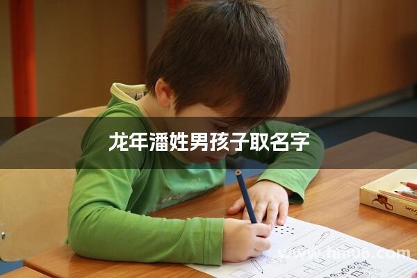 龙年潘姓男孩子取名字