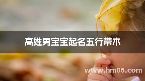 高姓男宝宝起名五行带木