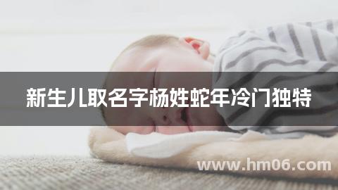 新生儿取名字杨姓蛇年冷门独特