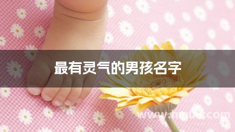 最有灵气的男孩名字