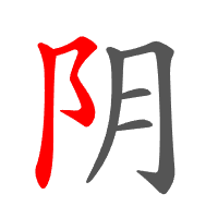 阴