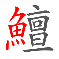 鱣