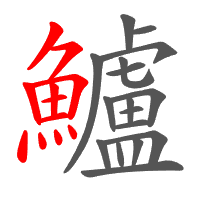 鱸